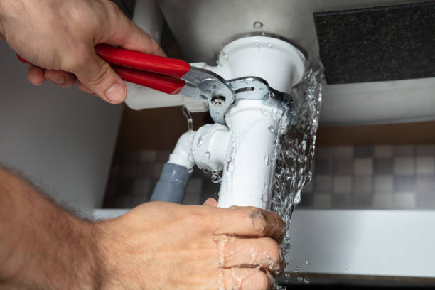 Best Mold removal after water damage  in Lapel, IN