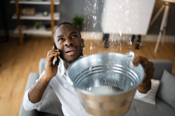 Best Water damage restoration mold remediation  in Lapel, IN