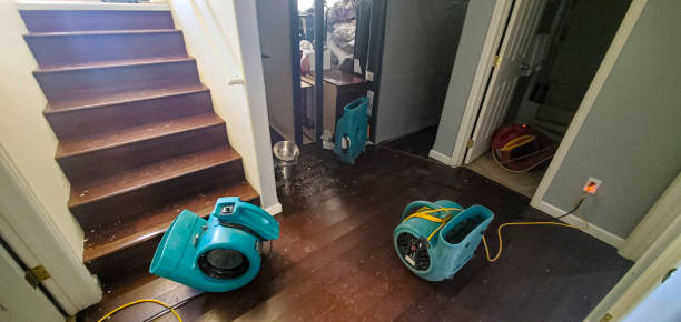 Best Emergency water damage restoration  in Lapel, IN