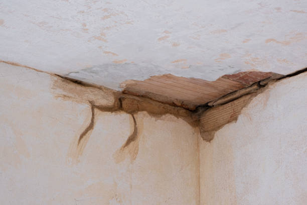Best Water damage repair service  in Lapel, IN