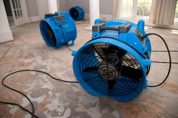 Water damage restoration mold remediation in IN