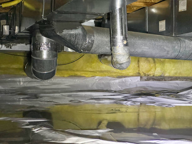 Best Water damage restoration near me  in Lapel, IN