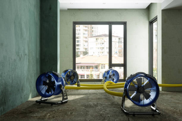 Best Water damage contractors near me  in Lapel, IN