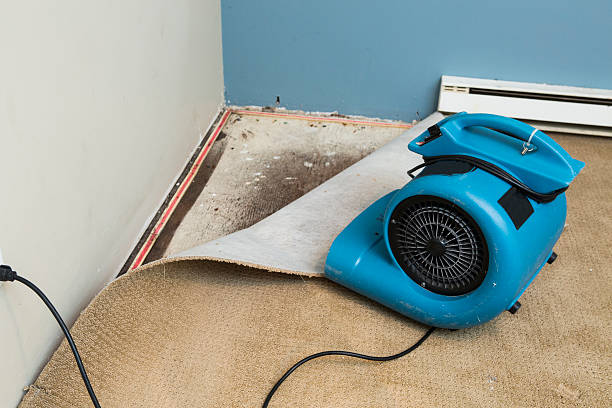 Best Sewage cleanup and water damage restoration  in Lapel, IN